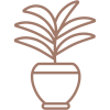 palma-de-salon